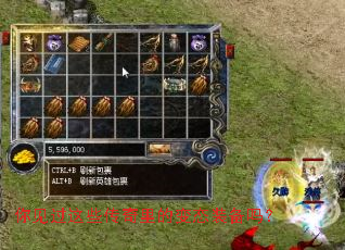 �������Щ������ı�̬װ����