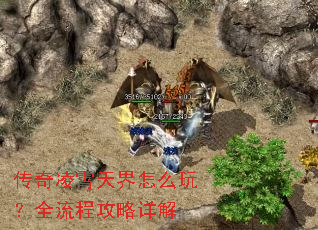 �������������ô�棿ȫ���̹������