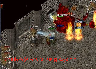 ��λ�ø��Ŵ����е�ϡ�гƺţ�