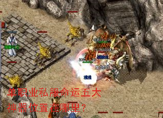 ��ְҵ˽�������������λ�������