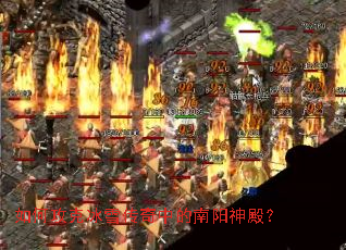 ��ι��˱�ѩ�����е�������