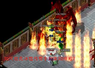 ��ι��˱�ѩ�����е�������