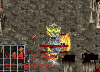 �����������˽�����������ɹ��ʣ�