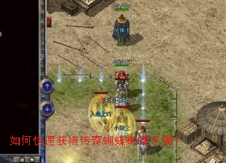 ��ο��ٻ�ô����������������