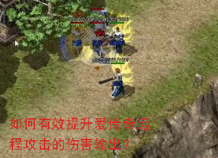 �����Ч����������Զ�̹������˺������