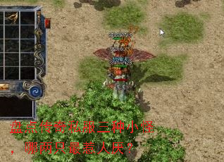 盘点传奇私服三种小怪,哪两只最惹人厌? 盘点传奇私服三种小怪,哪两只最惹人厌?