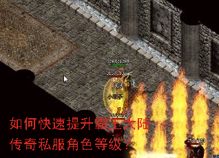 如何快速提升霸王大陆传奇私服角色等级? 如何快速提升霸王大陆传奇私服角色等级?