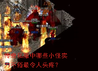 ����˽������ЩС��ʵ������������ͷ�ۣ�