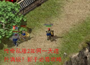 传奇私服2如何一天速升满级?新手必看攻略 传奇私服2如何一天速升满级?新手必看攻略