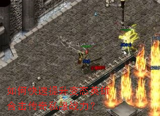 ��ο���������̬Ӣ�ۺϻ�����˽��ս����