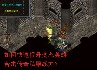 ��ο���������̬Ӣ�ۺϻ�����˽��ս����