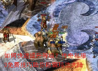 ��ο��������ȼ�������˽��3��Ѽ�������ư��귨��½