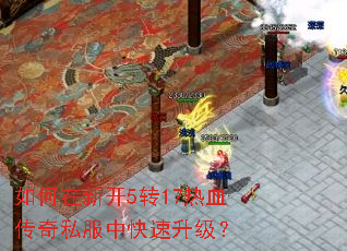 ������¿�5ת17��Ѫ����˽���п���������