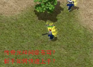 ����Ԫ���ʶ���񷣿������ο������֣�