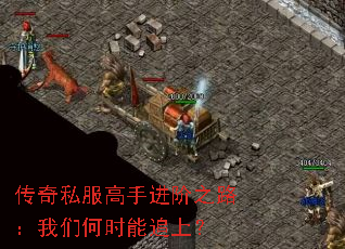 ����˽�����ֽ���֮·�����Ǻ�ʱ��׷�ϣ�