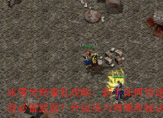 ��ѩ��������ԣ�������ο��ٻ�ȡ�ر�������������������Щ�ؾ���