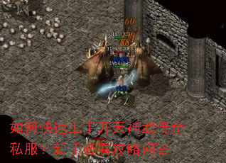 ��ο������ֿ������䴫��˽�������ֱؿ������ʴ�