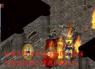 如何选择传奇私服新区?最强开服指南助你快速称霸玛法 如何选择传奇私服新区?最强开服指南助你快速称霸玛法