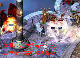 ��γ�Ϊɳ�ǰ��������Ŵ������Թ���ȫ����