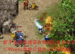 ������ο��������ȼ���װ����ȡȫ���ԣ�99nets���湫����̳�ռ�ָ��