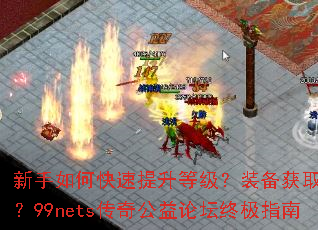 ������ο��������ȼ���װ����ȡȫ���ԣ�99nets���湫����̳�ռ�ָ��