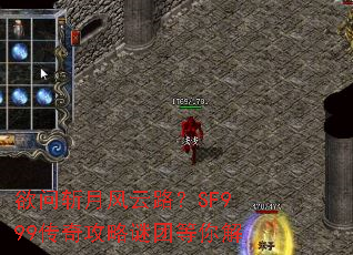 ����ն�·���·��SF999���湥�����ŵ����