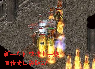 ������ο���������Ѫ����ڴ���2��