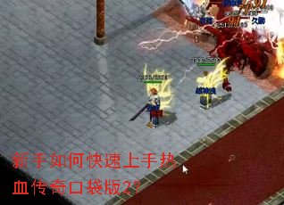 ������ο���������Ѫ����ڴ���2��