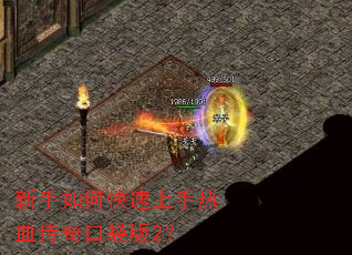 ������ο���������Ѫ����ڴ���2��