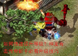 如何快速提升等级?神龙合击传奇新手必看升级技巧 如何快速提升等级?神龙合击传奇新手必看升级技巧