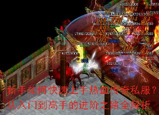 ������ο���������Ѫ����˽���������ŵ����ֵĽ���֮·ȫ����