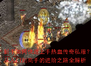 ������ο���������Ѫ����˽���������ŵ����ֵĽ���֮·ȫ����