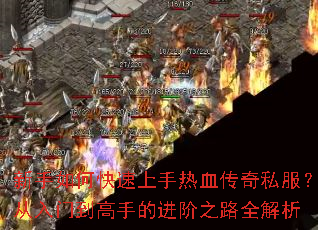 ������ο���������Ѫ����˽���������ŵ����ֵĽ���֮·ȫ����