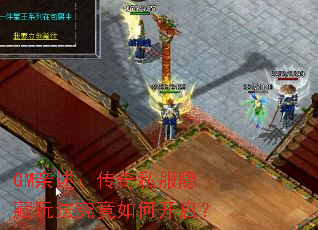 GM����������˽�������淨������ο�����