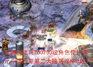 ��ο��ٽ�700750����ɫʹ�û�Ԫ���������ڶ���½�ȼ�NPC����