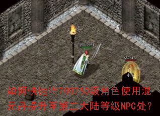 ��ο��ٽ�700750����ɫʹ�û�Ԫ���������ڶ���½�ȼ�NPC����