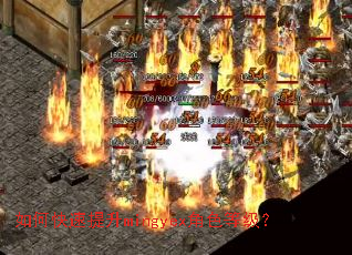 如何快速提升mingyex角色等级? 如何快速提升mingyex角色等级?