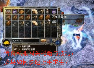 ����˽�������ؼ��뼼�ɣ�������ο�������������