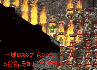 ����BOSS֮��07-05���Գ���θ�Чˢ�֣�