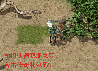 ��ο��ٻ�ȡ΢��ϻ���������룿