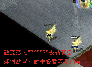 ����̬����65535��Ʒװ����λ�ȡ�����ֱؿ�����ָ��