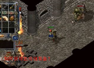 ��λ��Ѫ����װ����