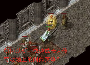 ��δ����ֿ��ٳɳ�Ϊ����ս���ϵ��ʶ�Ӣ�ۣ�