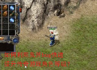 ������ù���bug��������������Ϸ��ɫ�ȼ���