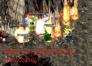 ������һ���������������203600249����