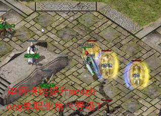 如何快速提升menghong单职业角色等级? 如何快速提升menghong单职业角色等级?