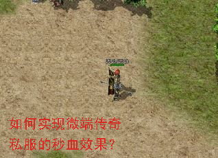 ���ʵ��΢�˴���˽������ѪЧ����