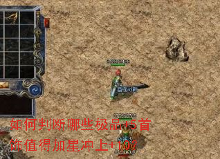 ����ж���Щ��Ʒ+5����ֵ�ü��ǳ���+10��