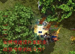 ��ο���������ְҵս�Ǵ����ս������