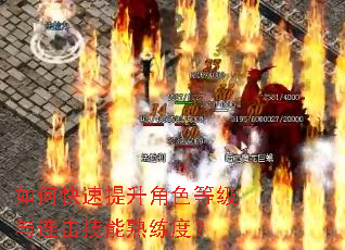 如何快速提升角色等级与连击技能熟练度? 如何快速提升角色等级与连击技能熟练度?